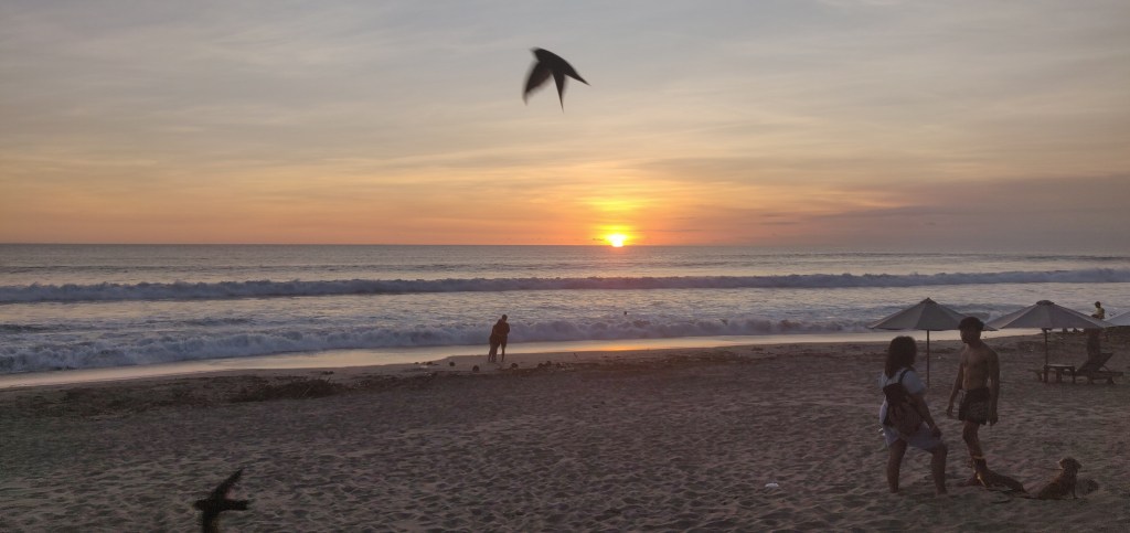 Sunny This Position&nbsp;200324