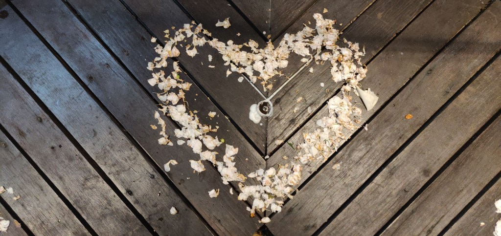 Wooden floorboards painted black arranged in a V shape with a love heart shaped scattering of white petals in the centre and the right side in the sunlight 