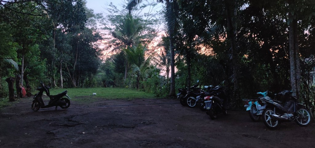Dirt floor foreground with motorcycles parked to the right and a moped to the left as a distant rabbit runs across green grass with a dusk sky jungle background 