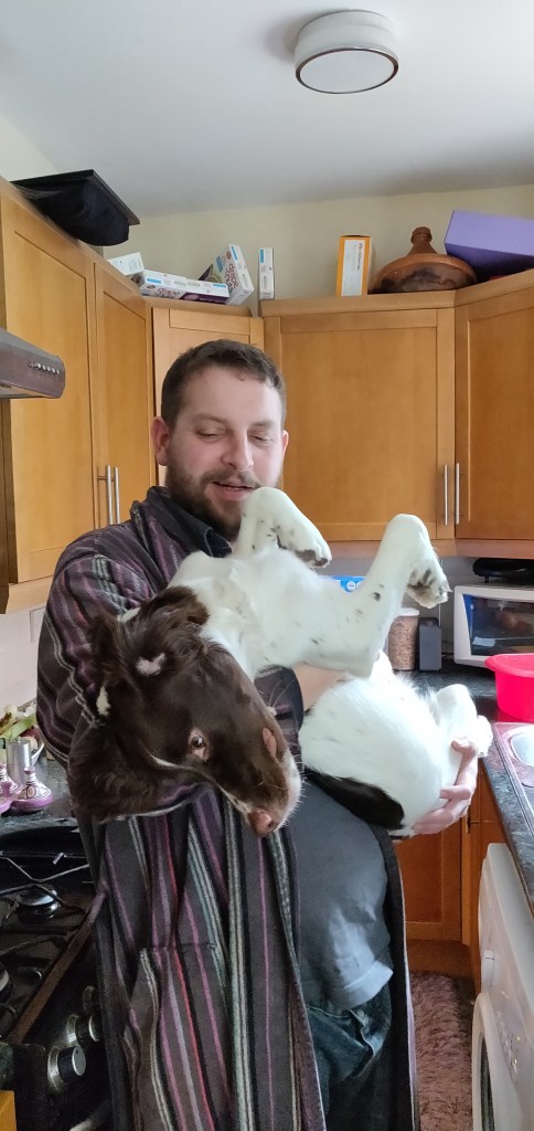 Badger standing in a kitchen with cupboards in the background and holding in his arms a springer spaniel in an upside down position 