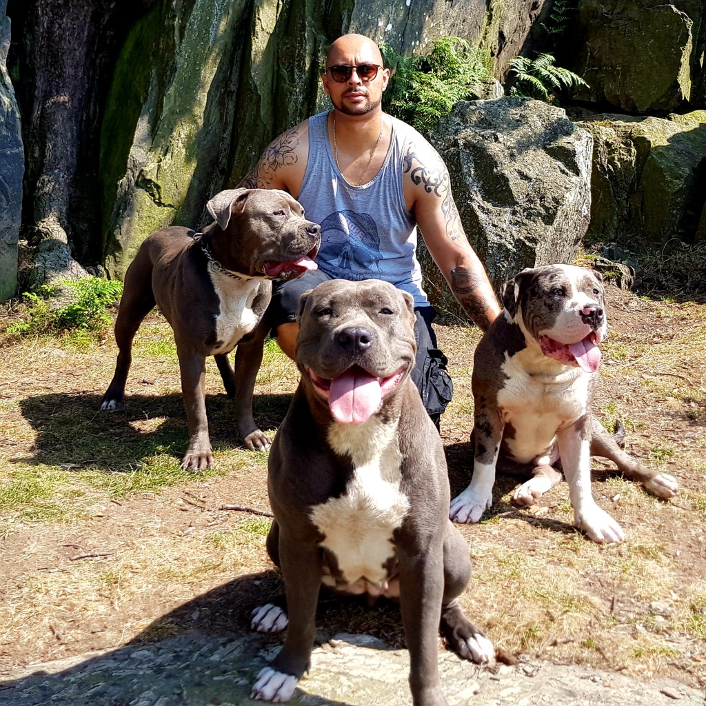 Conrad Smart of Smartway Media Solutions wears a vest and rests on on one one knee with three bull dogs in the sunshine with boulders behind 