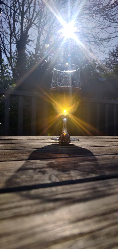 A pint glass half full of lager casts a big broad shadow on a dark wooden picnic bench in the bright winter sunshine 