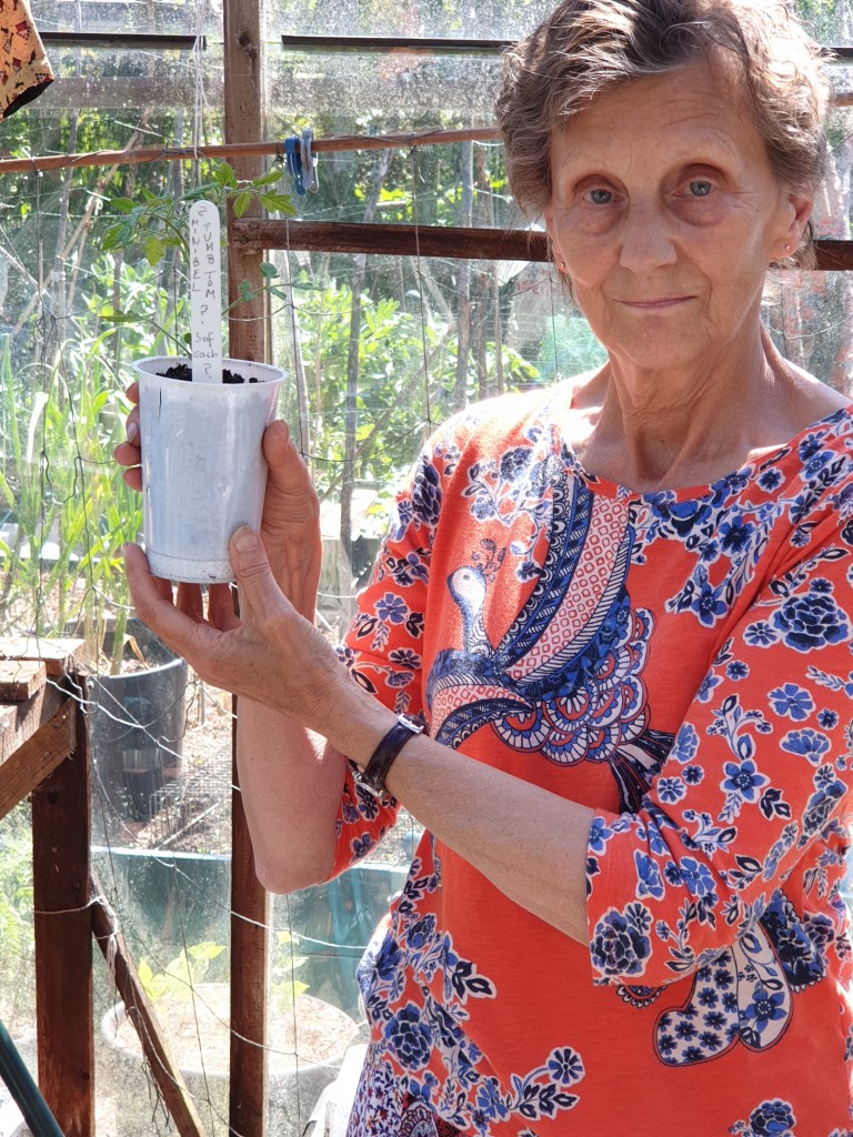 Mary wearing an orange top with blue, white and orange design featuring peacocks and flowers whilst standing in a greenhouse and holding a plant pot