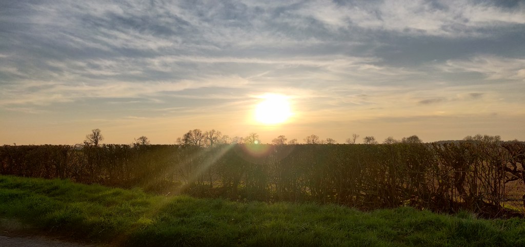 a grass verge at a diagonal angle in the foreground with a hedge running parallel just beyond and the sun above the hedge among scattered clouds 